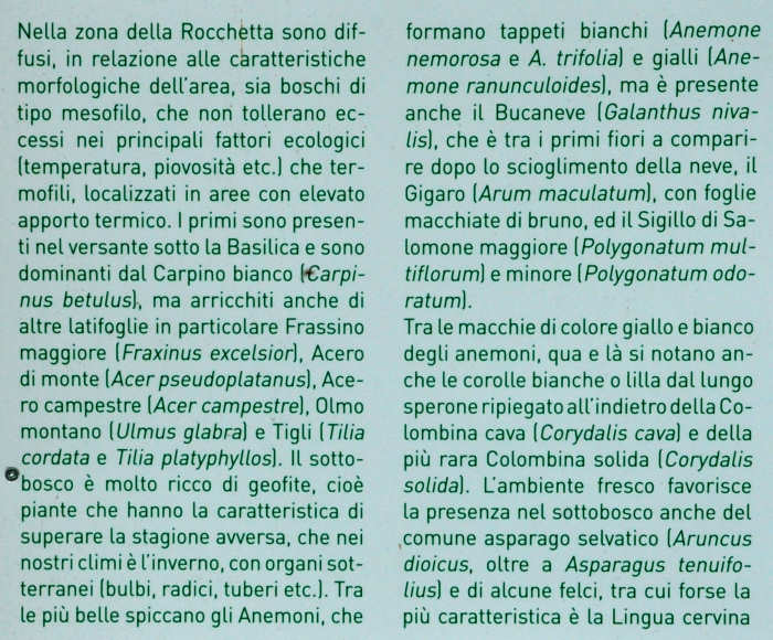 Sentiero Natura San Vittore - Feltre