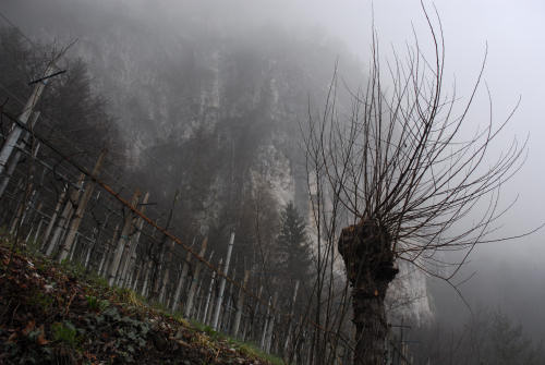 Fonzaso - San Micel, S.Michele