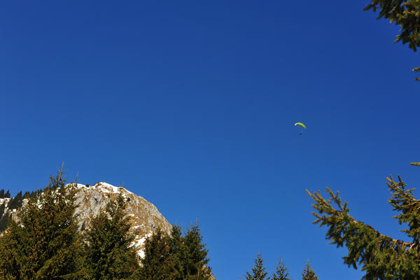 Rifugio Le Ere al Pizzoch a Roncoi di San Gregorio nelle Alpi