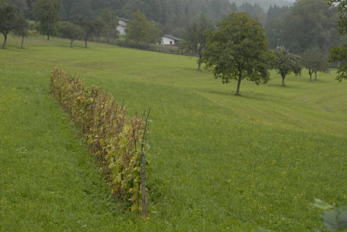 Roncoi, San Gregorio nelle Alpi