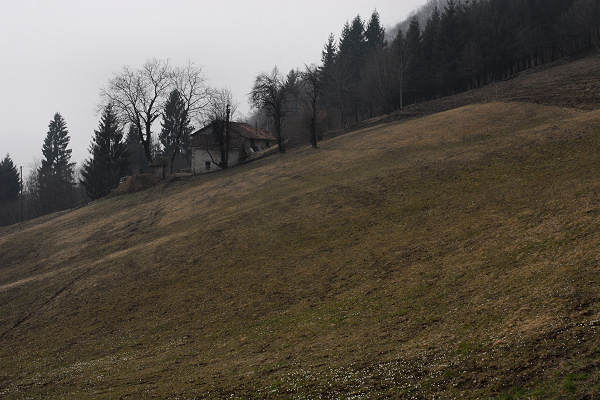 Cergnai Campel, chiesetta di San Mauro in Monte di Val Scura