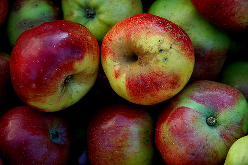 festa della mela prussiana a Faller di Sovramonte