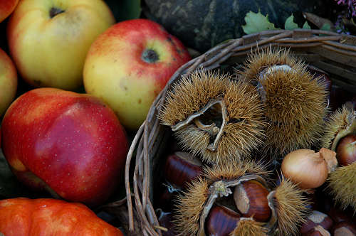 festa della mela prussiana a Faller di Sovramonte