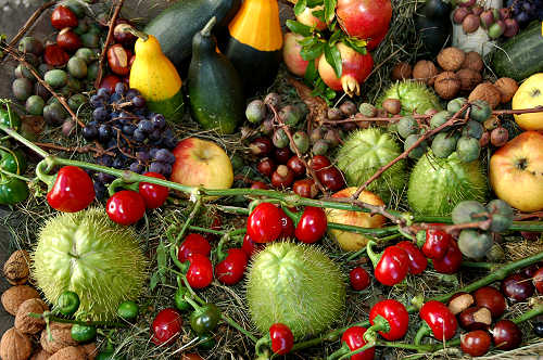 festa della mela prussiana a Faller di Sovramonte