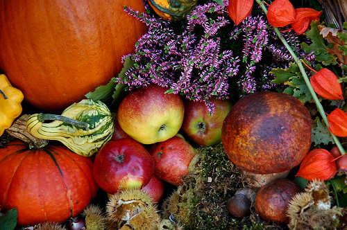 festa della mela prussiana a Faller di Sovramonte