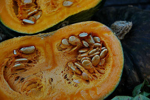 festa della mela prussiana a Faller di Sovramonte