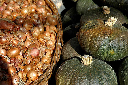 festa della mela prussiana a Faller di Sovramonte