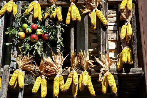 festa della mela prussiana a Faller di Sovramonte