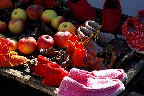 festa della mela prussiana a Faller di Sovramonte