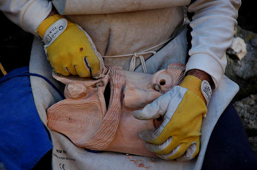 festa della mela prussiana a Faller di Sovramonte