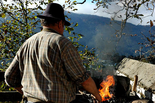 festa della mela prussiana a Faller di Sovramonte
