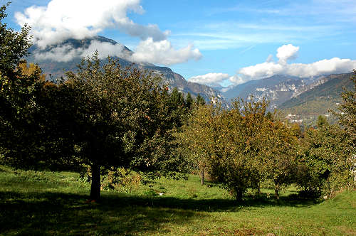 festa della mela prussiana a Faller di Sovramonte