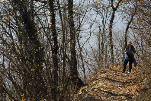 Faller, Ramen, Cima Loreto, Monte Avena, Sovramonte