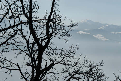 Faller, Ramen, Cima Loreto, Monte Avena, Sovramonte