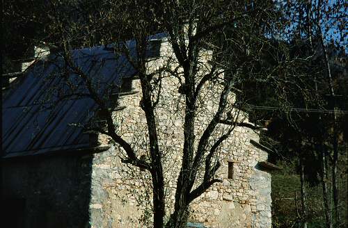 Altipiano del Col dei Mich