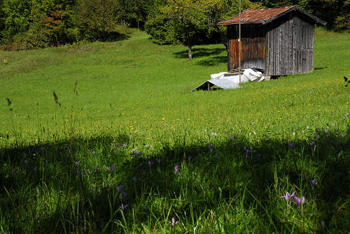 altipiano del Col dei Mich, Col Fariet, Zorzoi di Sovramonte