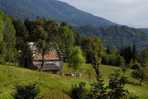 altipiano del Col dei Mich, Col Fariet, Zorzoi di Sovramonte