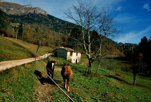 Altipiano del Col dei Mich