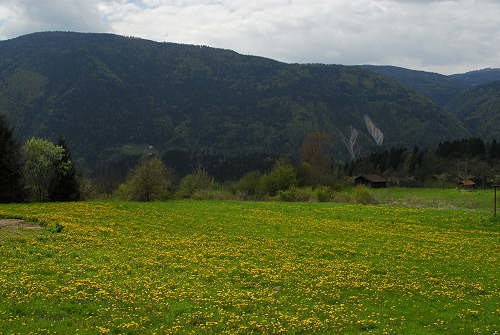 via dell'acqua, valle Ausor, Sorriva di Sovramonte