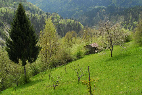 via dell'acqua, valle Ausor, Sorriva di Sovramonte