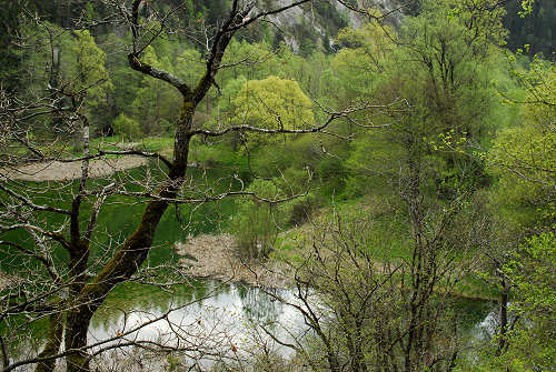 via dell'acqua, valle Ausor, Sorriva di Sovramonte