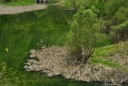 via dell'acqua, valle Ausor, Sorriva di Sovramonte