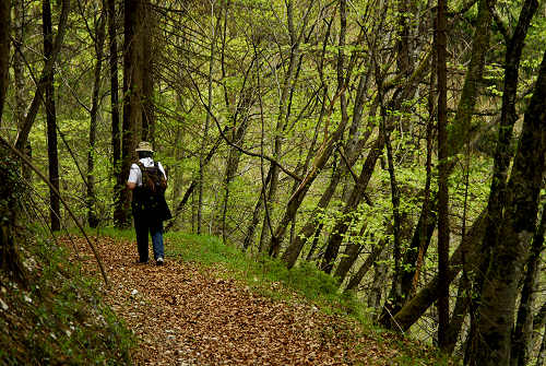 via dell'acqua, valle Ausor, Sorriva di Sovramonte