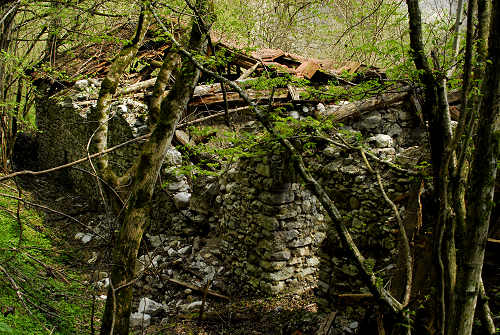via dell'acqua, valle Ausor, Sorriva di Sovramonte