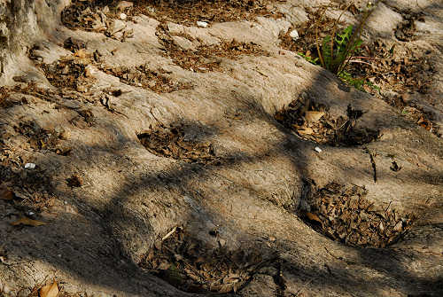 via dell'acqua, valle Ausor, Sorriva di Sovramonte