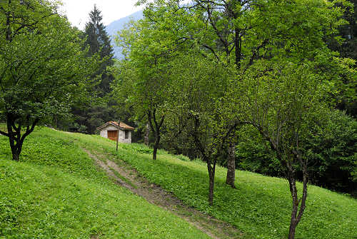 Sentiero Natura Val Canzoi - Parco Nazionale Dolomiti Bellunesi