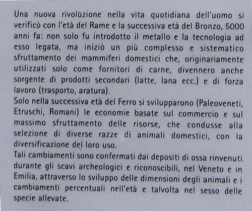 Covoli della Valle di Lamen, Vette Feltrine, Feltre, Parco Nazionale Dolomiti Bellunesi