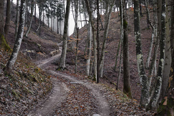 Monte Pafagai e Covoli della Valle di Lamen, Vette di Feltre, Parco Nazionale Dolomiti Bellunesi