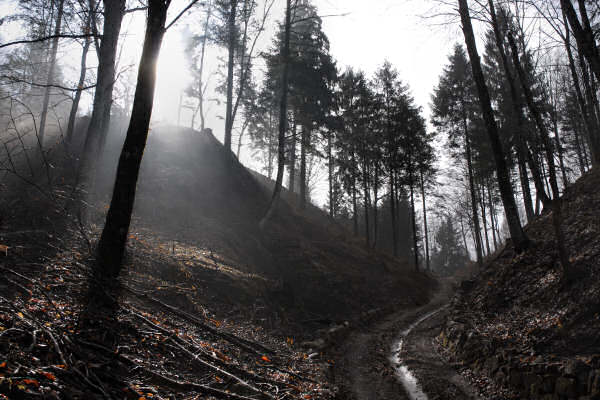 Monte Pafagai e Covoli della Valle di Lamen, Vette di Feltre, Parco Nazionale Dolomiti Bellunesi
