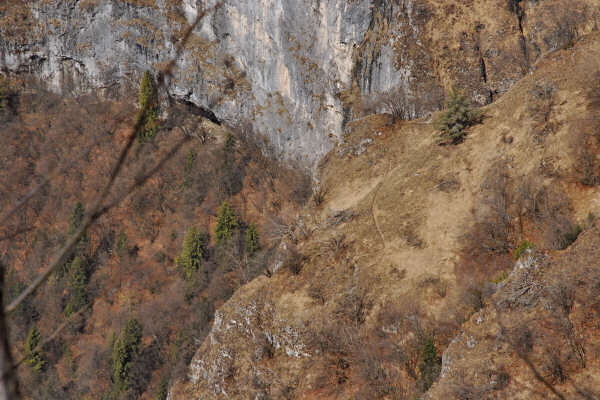 Monte Pafagai e Covoli della Valle di Lamen, Vette di Feltre, Parco Nazionale Dolomiti Bellunesi