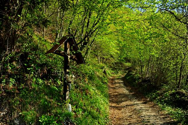 escursione Arson, Al Pos, monte Grave, eremo San Mauro in Monte