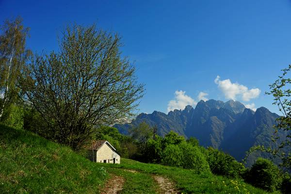 escursione Arson, Al Pos, monte Grave, eremo San Mauro in Monte