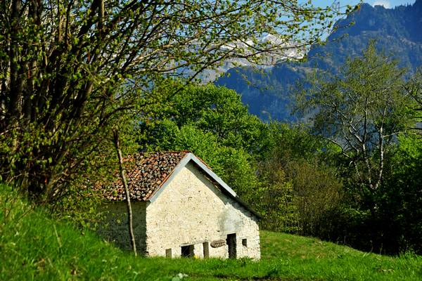 escursione Arson, Al Pos, monte Grave, eremo San Mauro in Monte