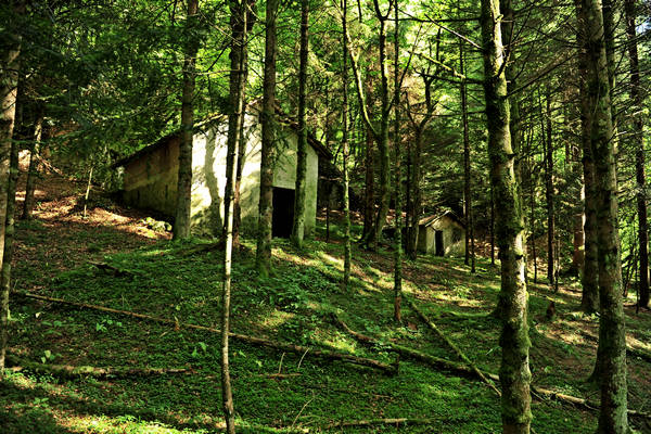 Pian dei Violini in Val San Martin Vignui di Feltre, Parco Nazionale Dolomiti Bellunesi