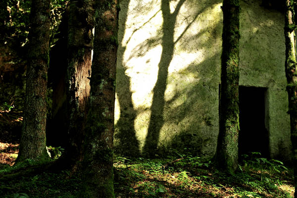 Pian dei Violini in Val San Martin Vignui di Feltre, Parco Nazionale Dolomiti Bellunesi
