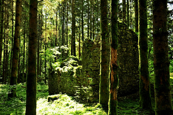 Pian dei Violini in Val San Martin Vignui di Feltre, Parco Nazionale Dolomiti Bellunesi