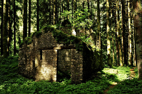 Pian dei Violini in Val San Martin Vignui di Feltre, Parco Nazionale Dolomiti Bellunesi