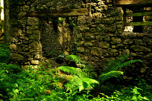 Pian dei Violini in Val San Martin Vignui di Feltre, Parco Nazionale Dolomiti Bellunesi