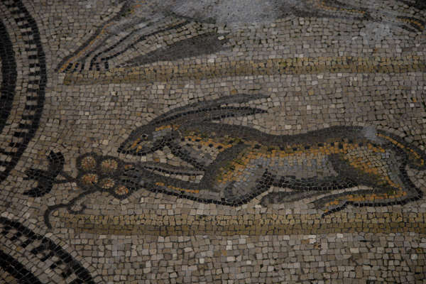 Basilica di Aquileia