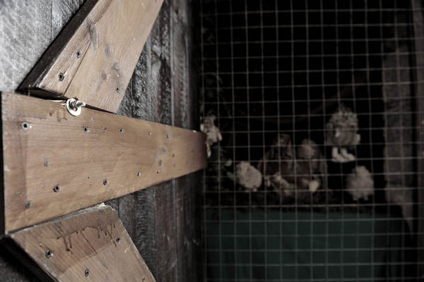 Poffabro di Frisanco, Maniago, Pordenone