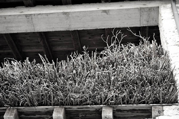 Poffabro di Frisanco, Maniago, Pordenone