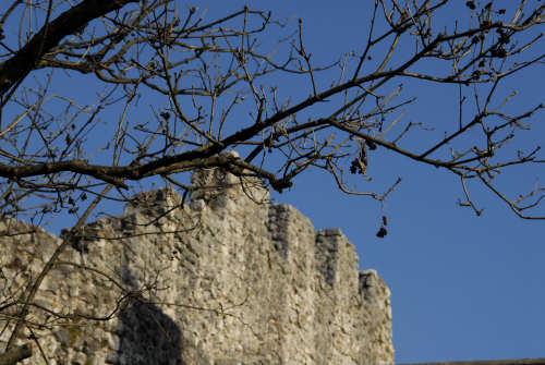 Castello di Caneva, Alto Liventino