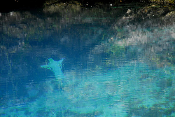 risorgiva del Gorgazzo a Polcenigo, fiume Livenza