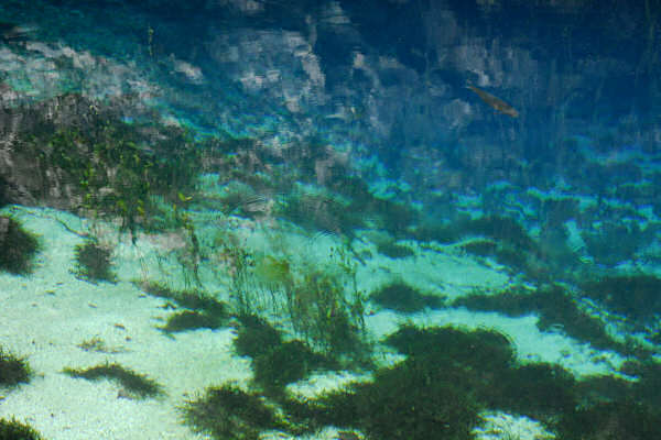 risorgiva del Gorgazzo a Polcenigo, fiume Livenza