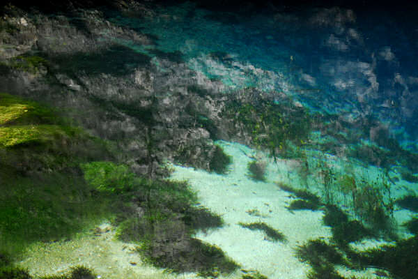 risorgiva del Gorgazzo a Polcenigo, fiume Livenza