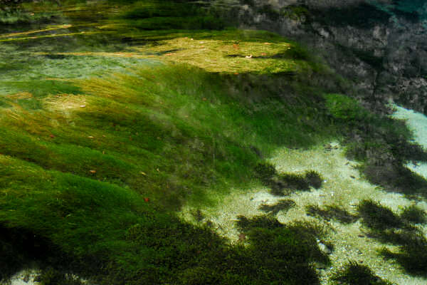 risorgiva del Gorgazzo a Polcenigo, fiume Livenza